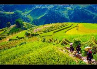 VIETNAM GRAND TOUR 21 DAYS 20 NIGHTS from 820 USD/person only